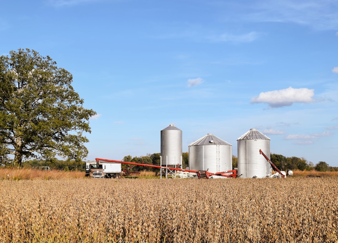 a-large-field-of-tall-grass-next-to-a-farm-ic6s-1iqse
