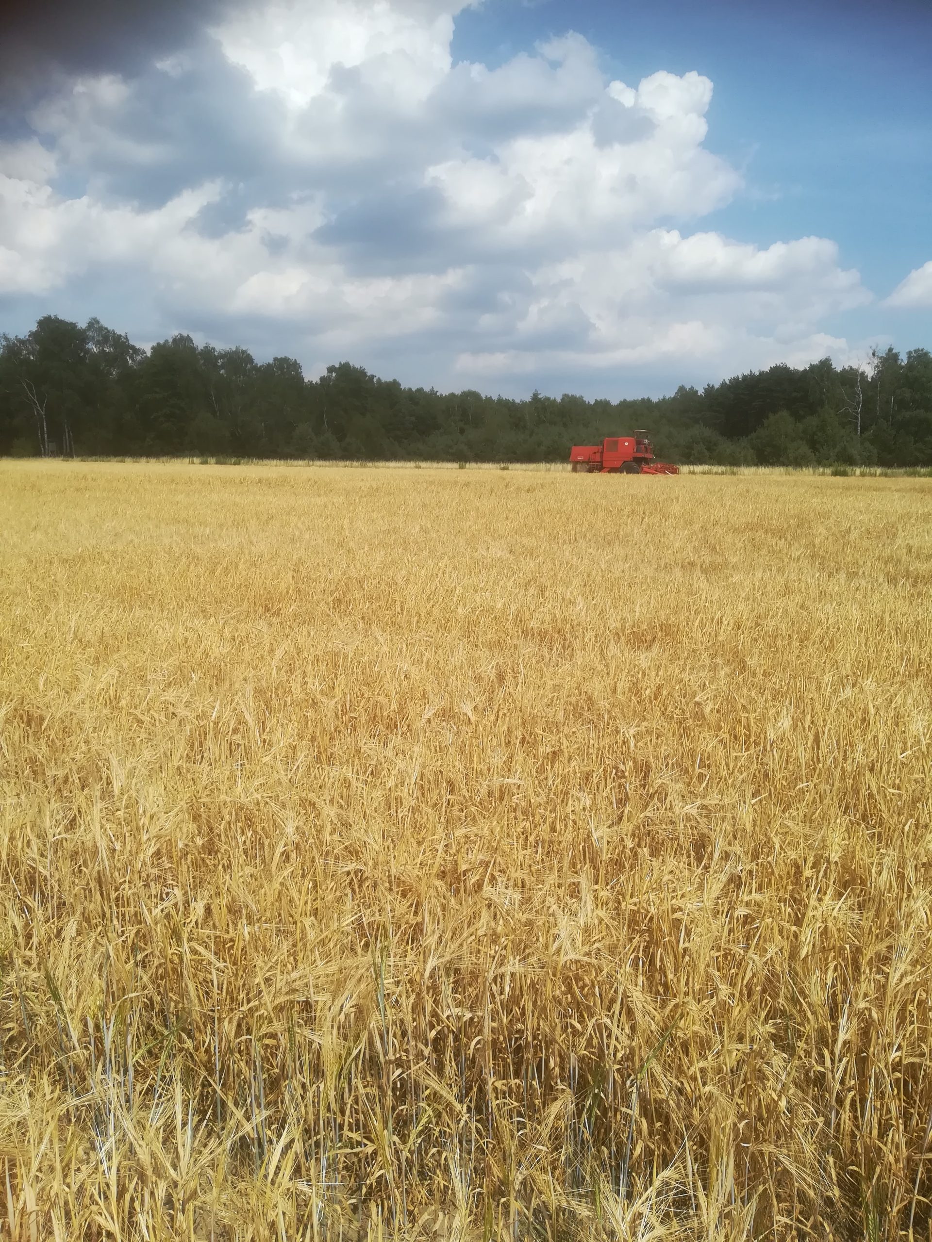 img-20190720-1438522